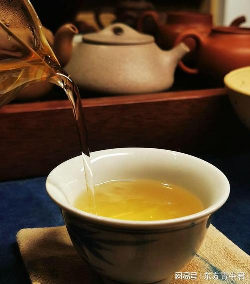 普洱茶基本知识之十 什么是高海拔普洱茶？其特点及成因分析