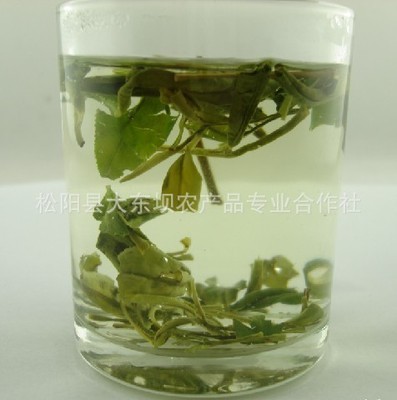 松阳县大东坝农产品专业合作社 绿水青山间的茶香传承